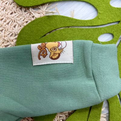  Conj. Casaco e Calça de Moletom Simba - Verde